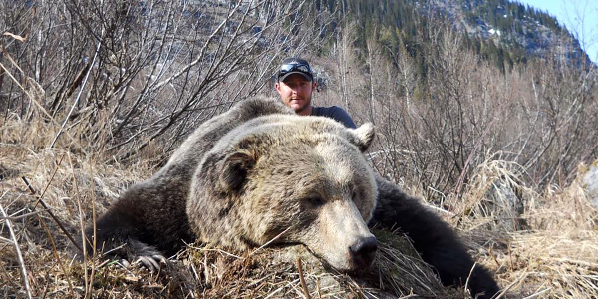Grizzly Hunts in BC
