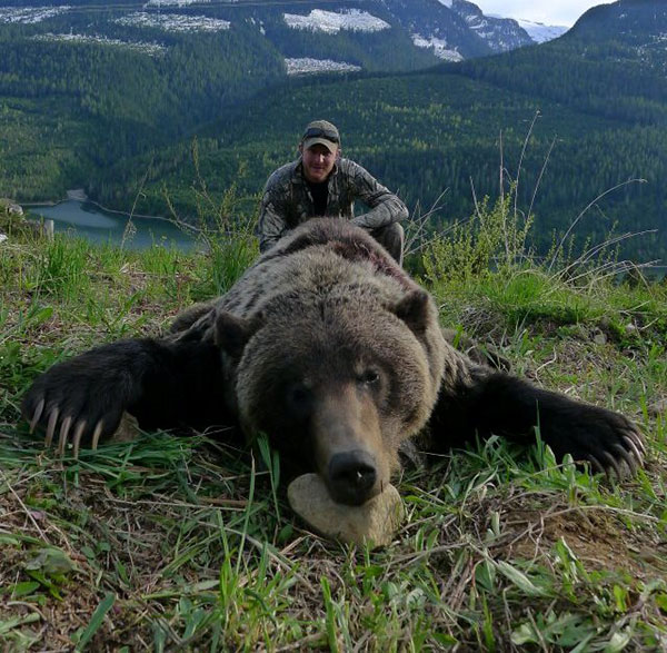Grizzly hunt in BC Grizzly Bear Hunting in BC