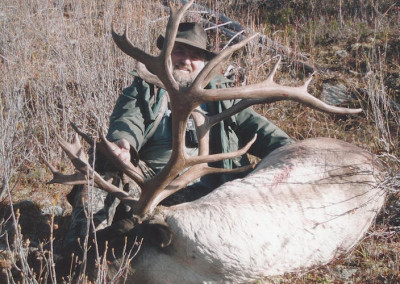 caribou12