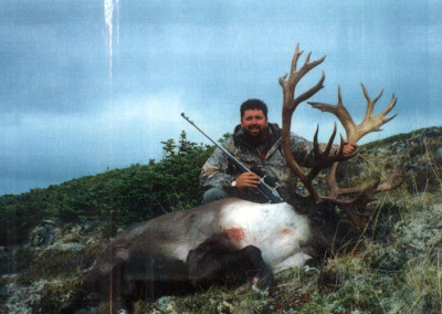 caribou6