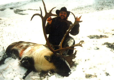 caribou7