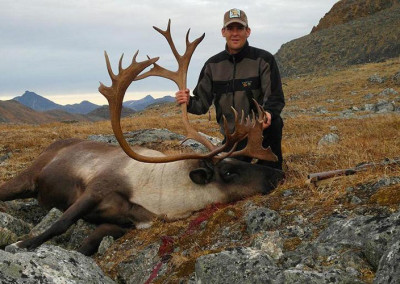 caribou1