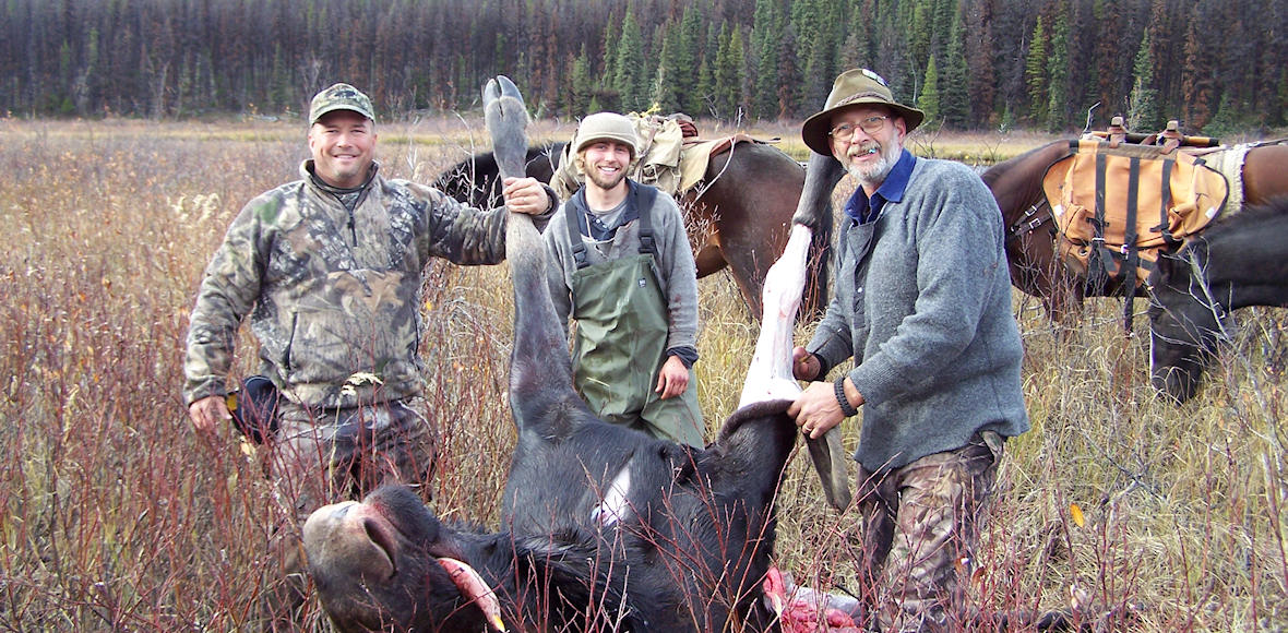Moose Hunts in BC