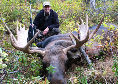 moose3