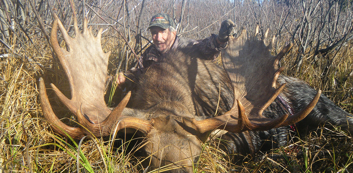 Trophy Moose Hunts in BC