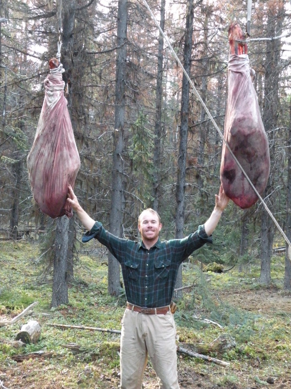 Moose Hunting in BC Moose Hunting in BC