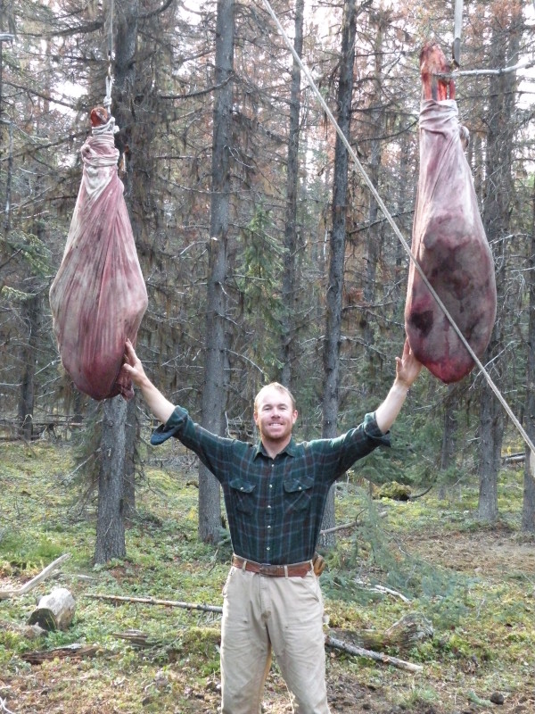 Moose Hunting in BC