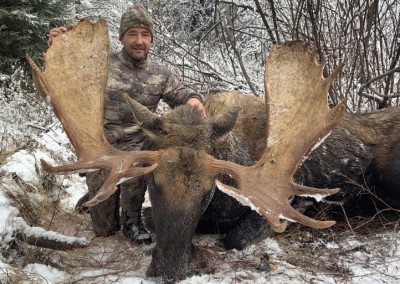 Trophy Moose Photo Gallery