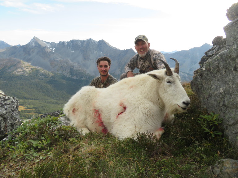Mountain Goat Hunting Gallery