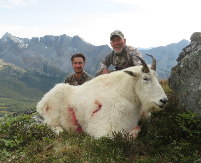Mountain Goat Hunting Gallery