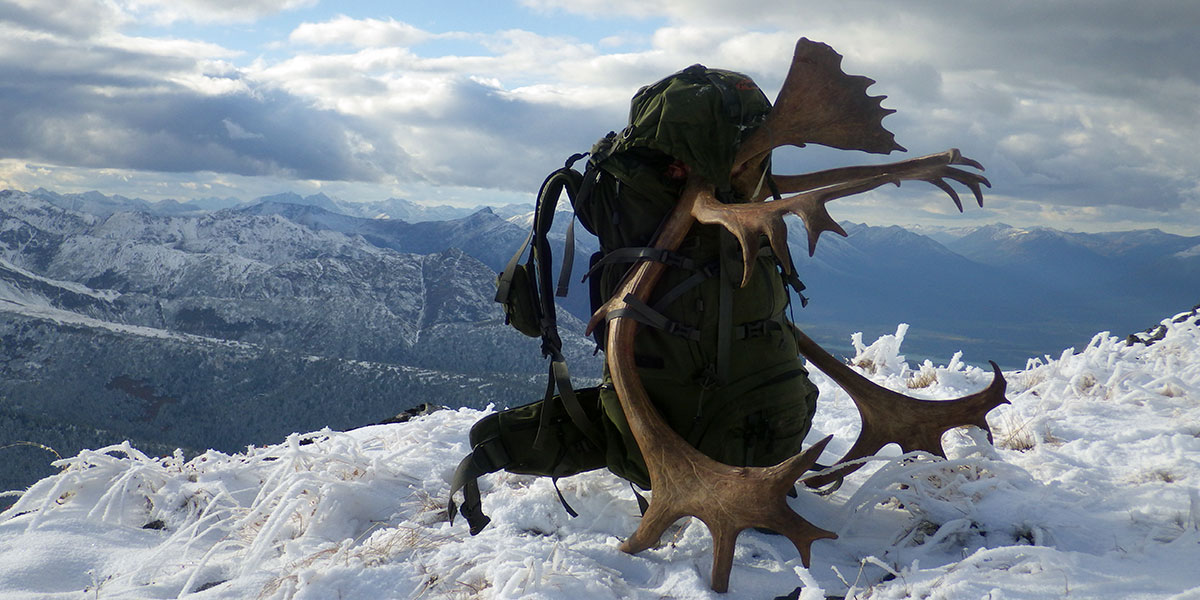 Caribou Hunting in BC