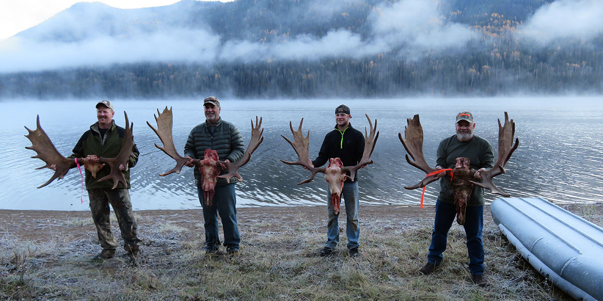 Trophy moose hunts in BC