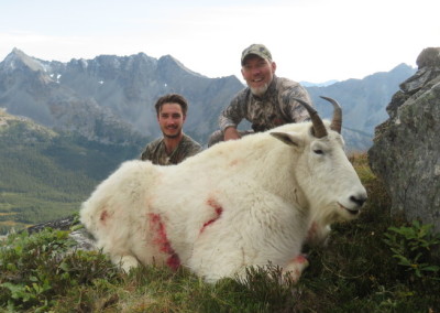 Mountain Goat Hunting Gallery